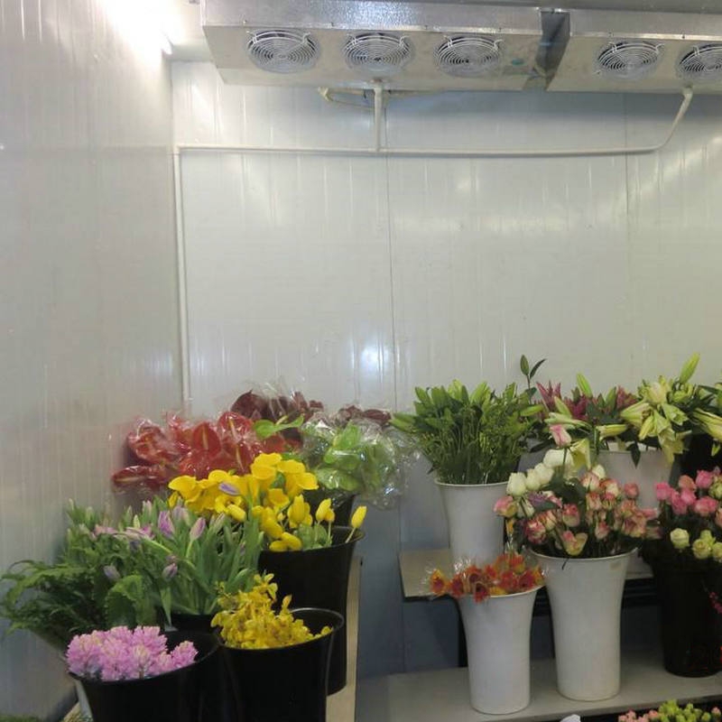 通辽鲜花冷库