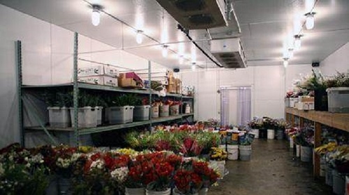 商洛鲜花冷库