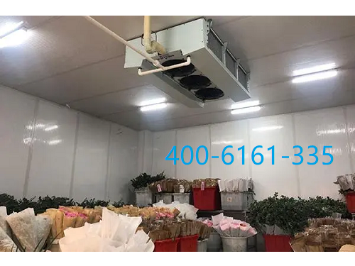 嘉兴小型鲜花冷库